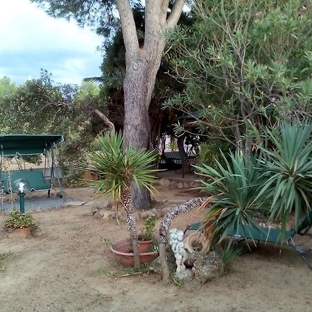 كابوتيرا B&B Il Vigneto المظهر الخارجي الصورة