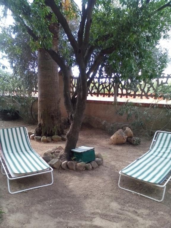 كابوتيرا B&B Il Vigneto المظهر الخارجي الصورة