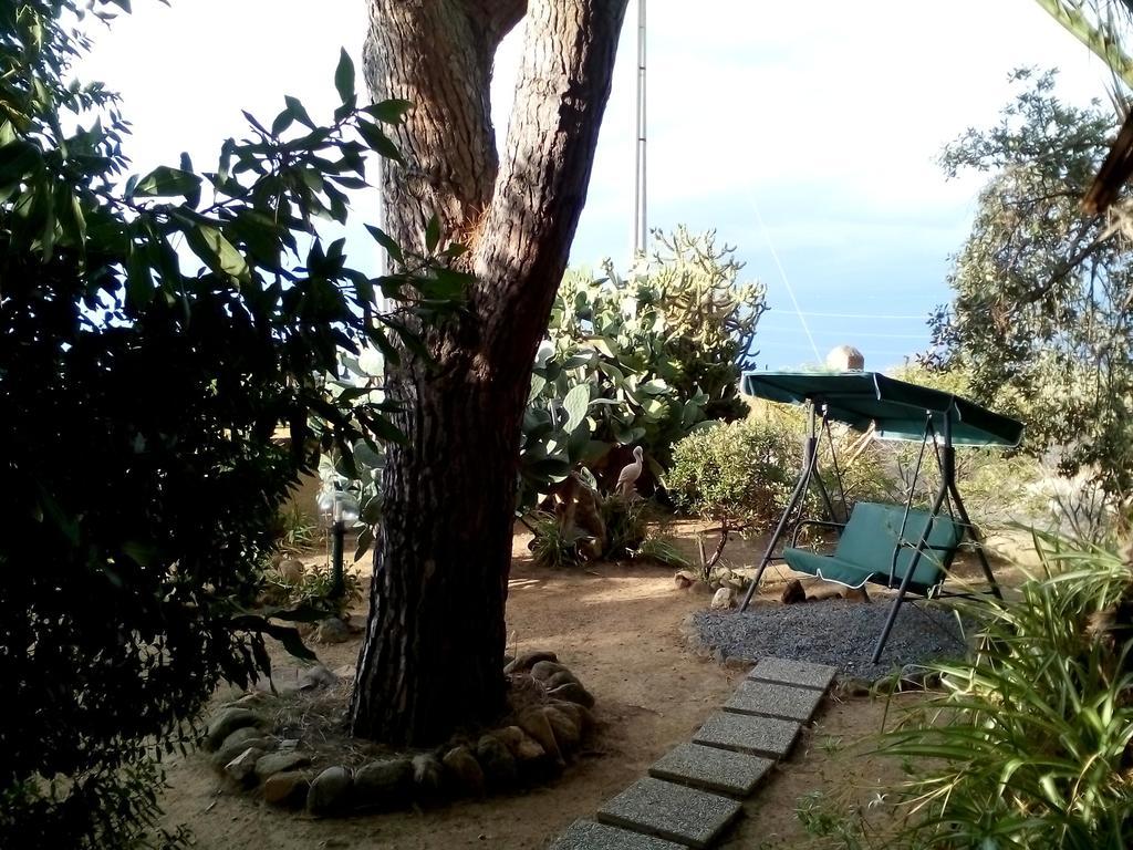 كابوتيرا B&B Il Vigneto المظهر الخارجي الصورة