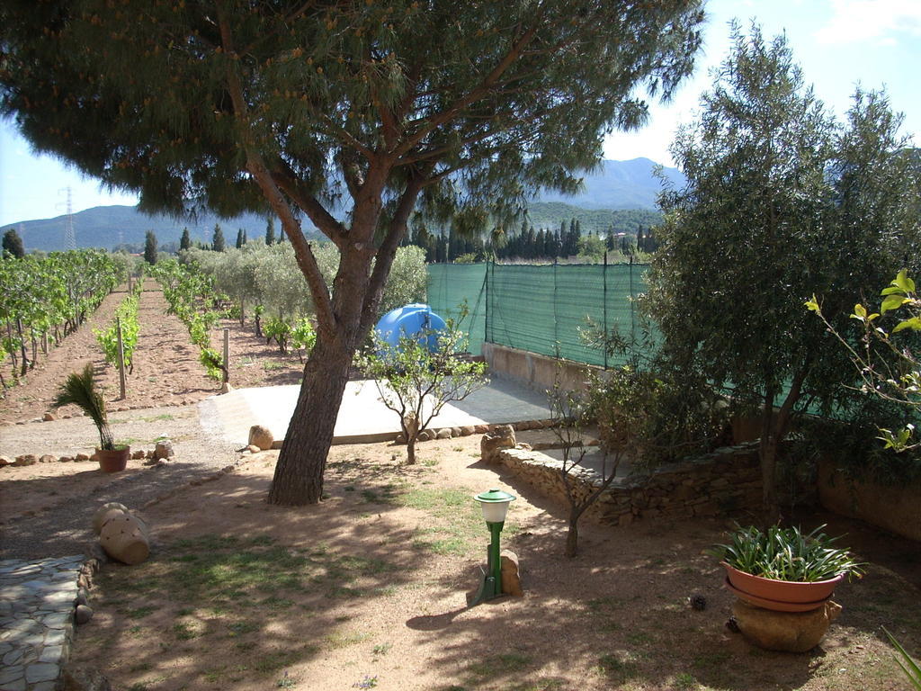 كابوتيرا B&B Il Vigneto المظهر الخارجي الصورة